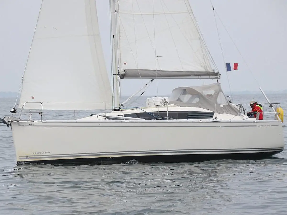 Delphia 31